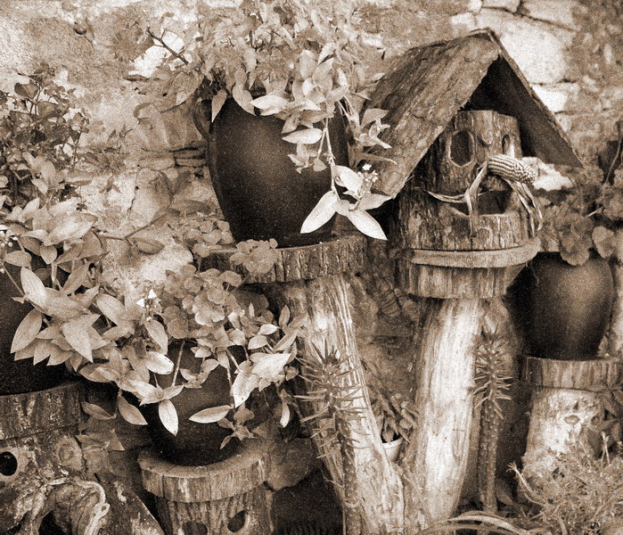 Photography by mzmzmzmz for DesignCrowd (Community Contests) | Design #9088830