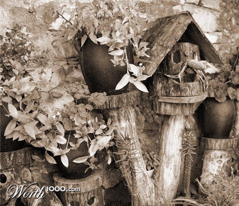 Photography by mzmzmzmz