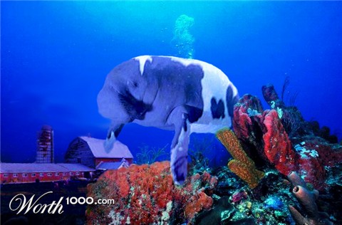 Photoshop Design by fowlball