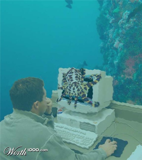 Photoshop Design by theworryrock