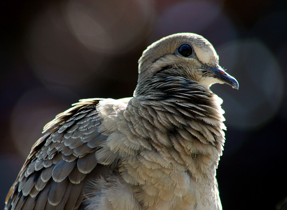 Photography by SigloV for DesignCrowd (Community Contests) | Design #9066811