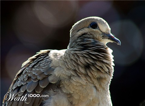 Photography by SigloV