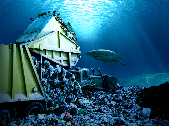 Photoshop Design by PaulC44446 for DesignCrowd (Community Contests) | Design #9080007