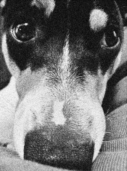 Photographie par madylyn pour DesignCrowd (Community Contests) | Design #9088818