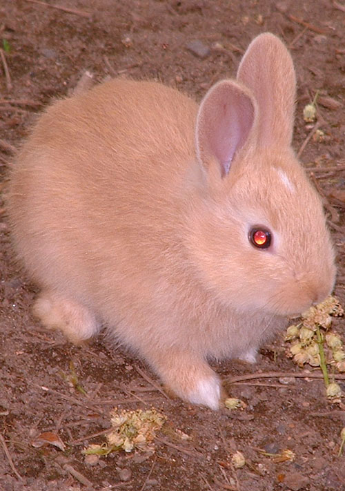 Fotografie von cameon für DesignCrowd (Community Contests) | Design #9066816