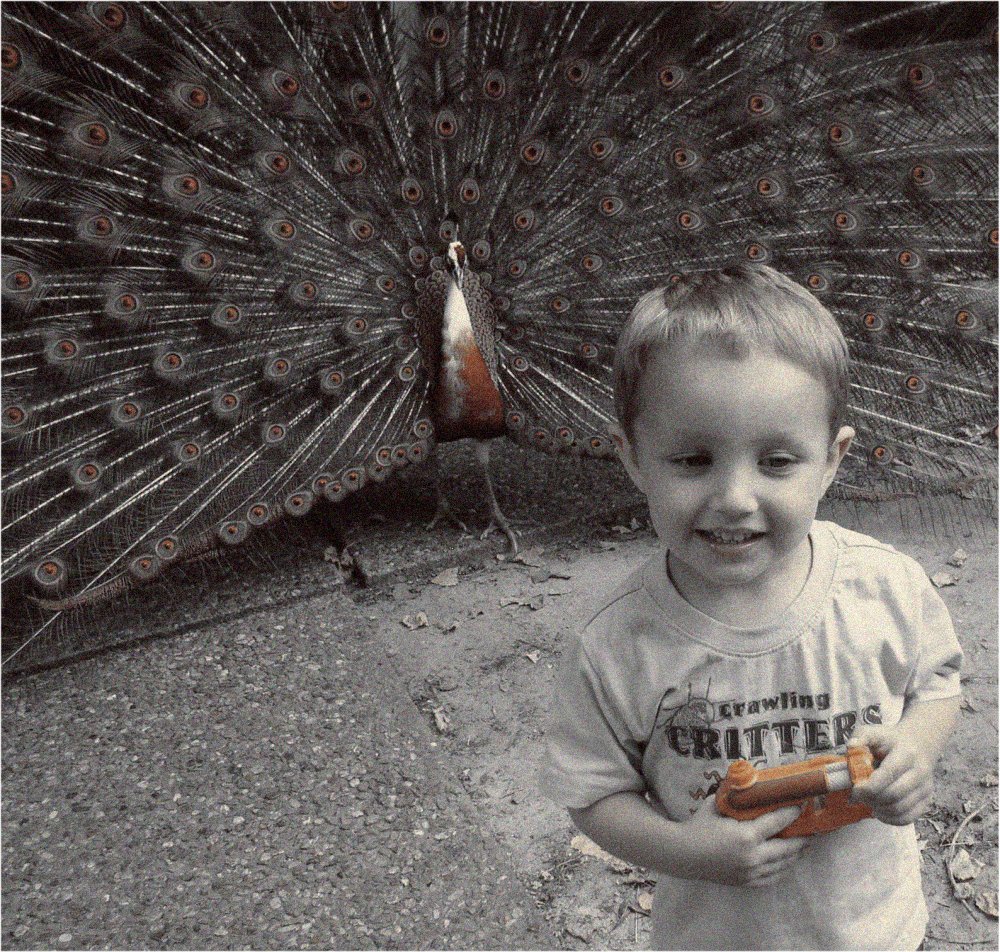 Photography by CrazyMazy for DesignCrowd (Community Contests) | Design #9088794