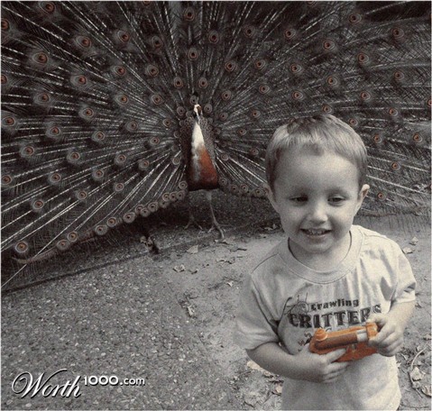 Photography by CrazyMazy