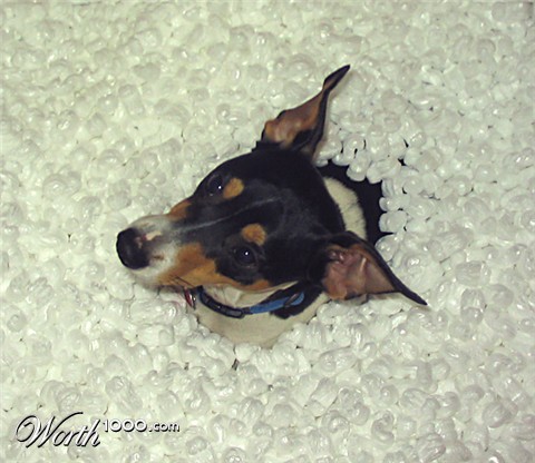 Photography by madylyn
