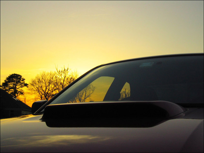 Photography by Louros for DesignCrowd (Community Contests) | Design #9083197