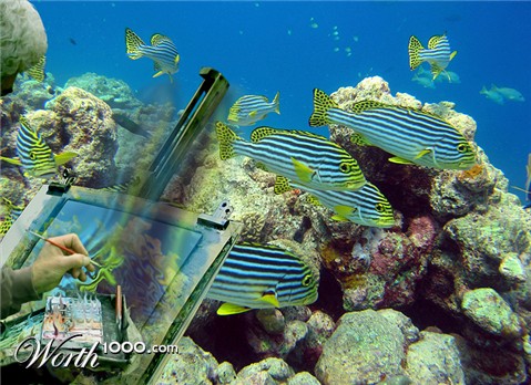 Photoshop Design by StrangeWorld