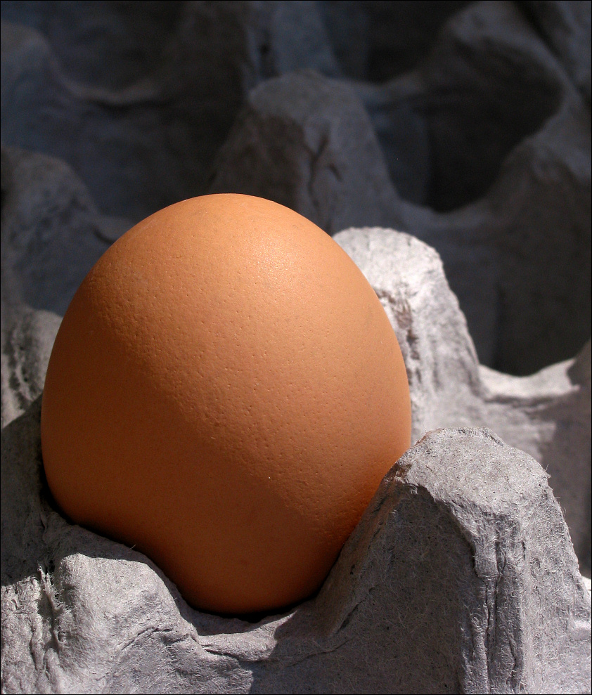 Fotografía por koalachimbo para DesignCrowd (Community Contests) | Diseño #9088405