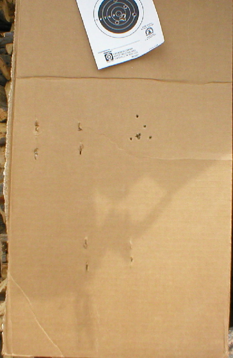 Photography by ShooterSue for DesignCrowd (Community Contests) | Design #9088416