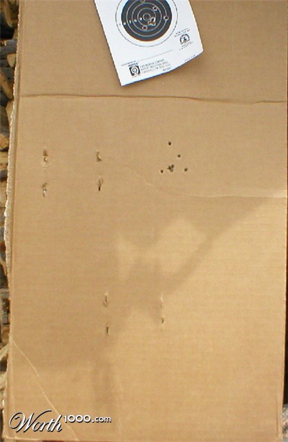 Photography by ShooterSue