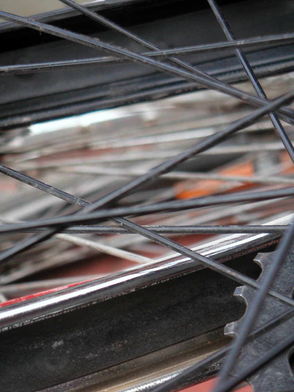 Photography by Boonshackle for DesignCrowd (Community Contests) | Design #9083213