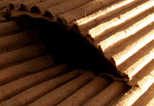 Photography by savagebrut for DesignCrowd (Community Contests) | Design #9088412