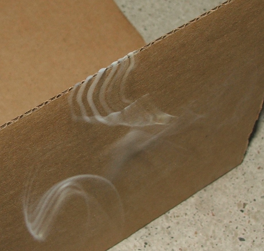 Photography by GalFisk for DesignCrowd (Community Contests) | Design #9088423