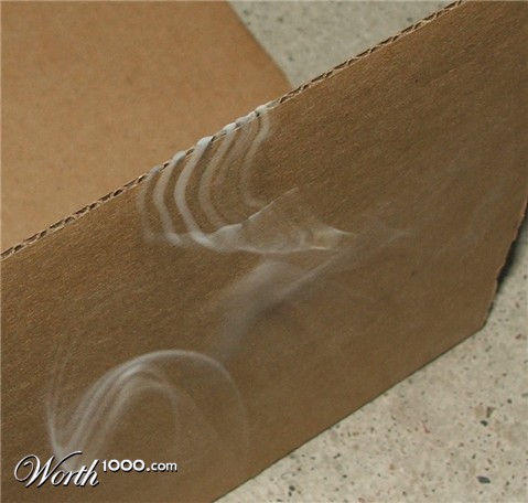 Photography by GalFisk