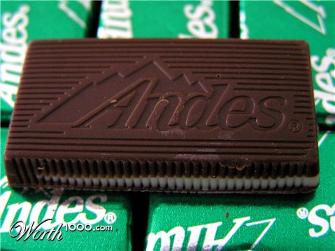 Photography by whitegold