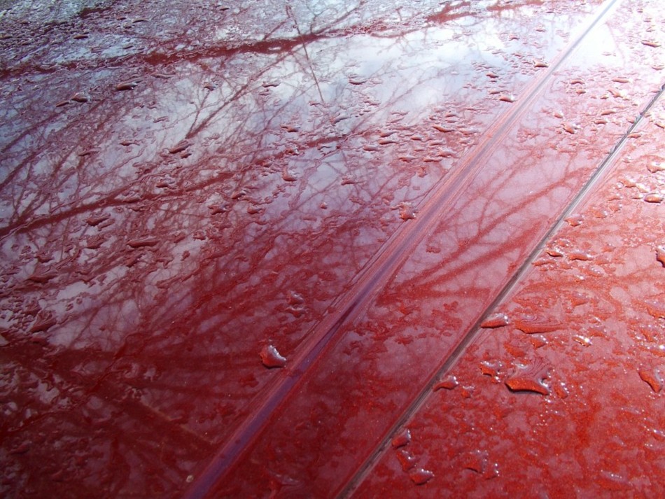 Fotografie von mmc9496 für DesignCrowd (Community Contests) | Design #9083306