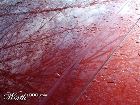 Photography by mmc9496