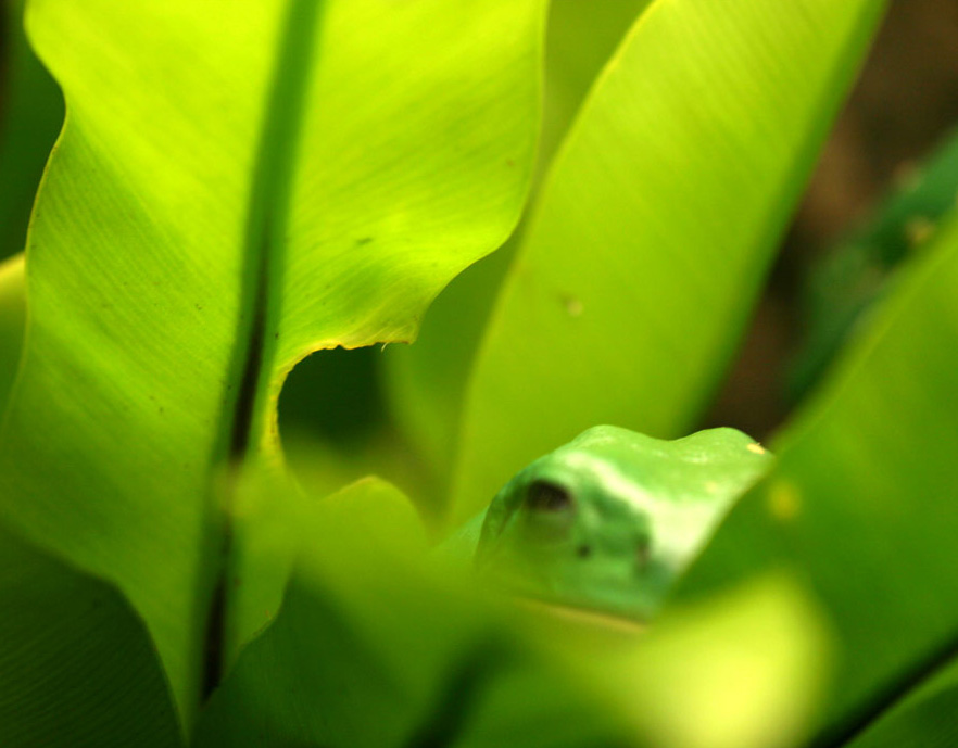 Fotografía por jiwasz para DesignCrowd (Community Contests) | Diseño #9083987