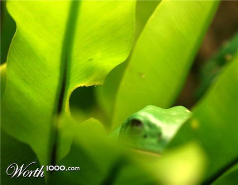 Photography by jiwasz