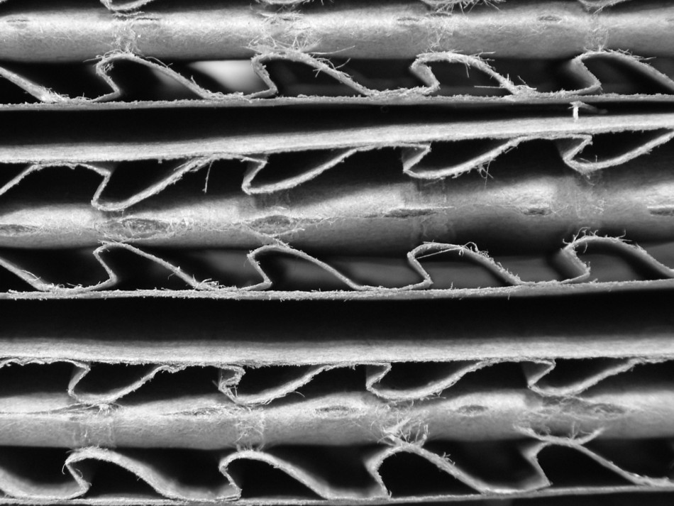 Fotografie von mmc9496 für DesignCrowd (Community Contests) | Design #9088422