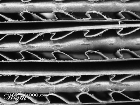 Photography by mmc9496