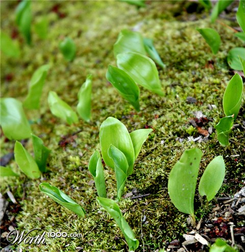 Photography by squeakers