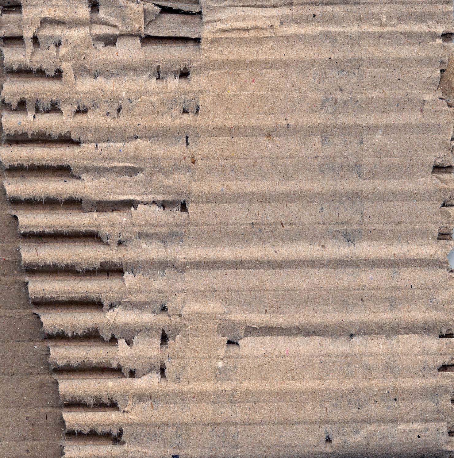 Photography by giropa for DesignCrowd (Community Contests) | Design #9088417