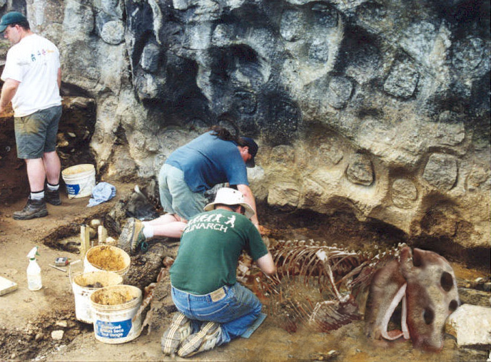 Diseño de Photoshop por GavinBaskerville para DesignCrowd (Community Contests) | Diseño #9081516