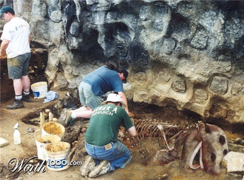 Photoshop Design by GavinBaskerville