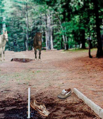 Photoshop Design by JoeyGio for DesignCrowd (Community Contests) | Design #9068687