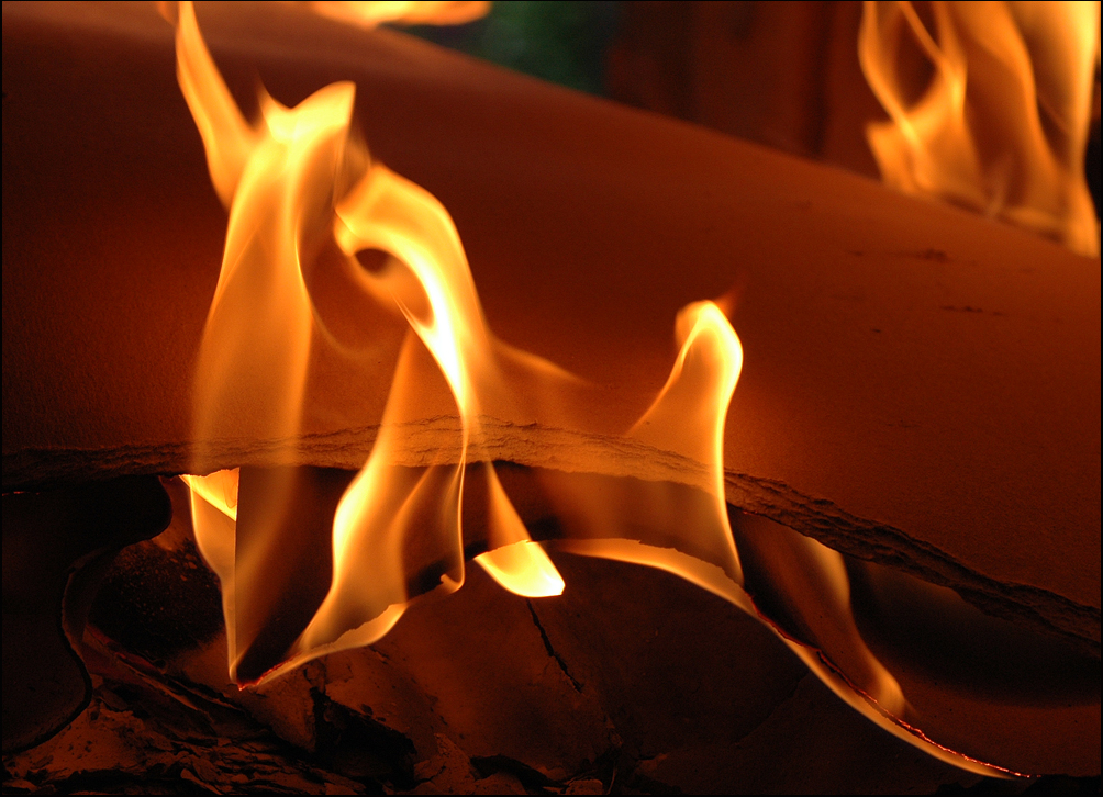 Fotografie von Marian für DesignCrowd (Community Contests) | Design #9088421