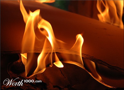 Photography by Marian