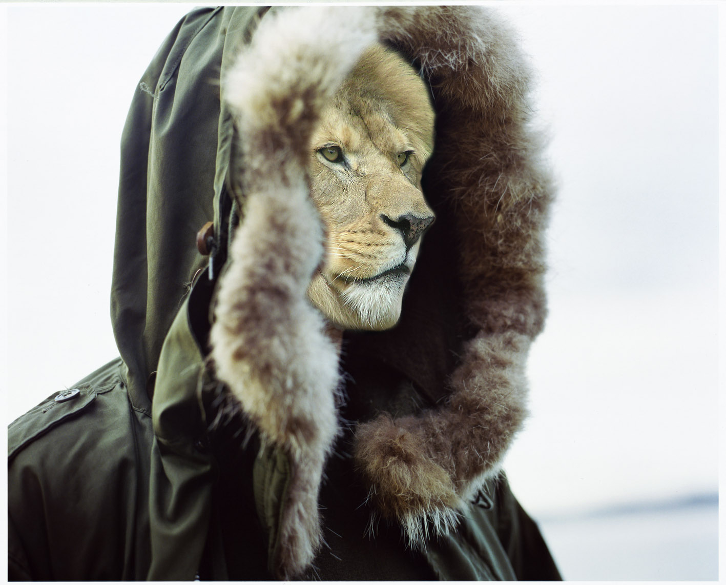 Photoshop Design by glanzone for DesignCrowd (Community Contests) | Design #9068711