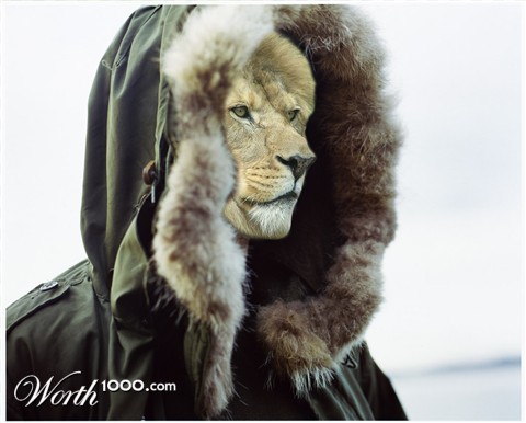 Photoshop Design by glanzone