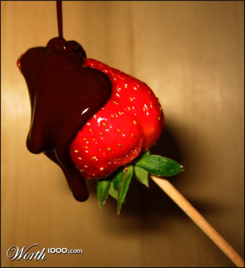 Photography by Ankabout