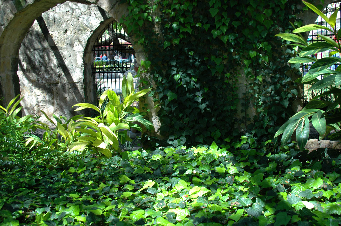 Photography by Tracer40 for DesignCrowd (Community Contests) | Design #9084010