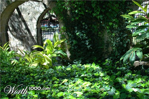 Photography by Tracer40