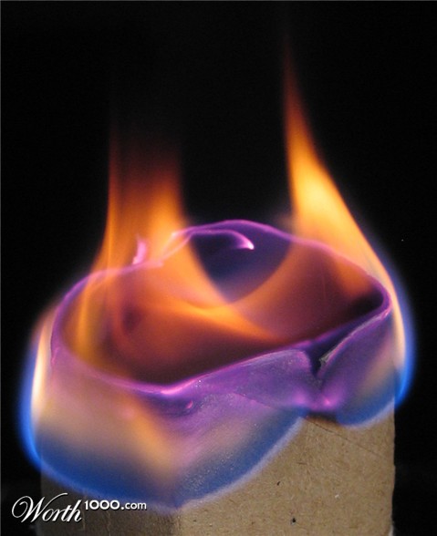 Photography by wiebeiw