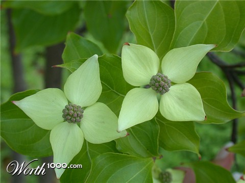 Photography by BBBastet