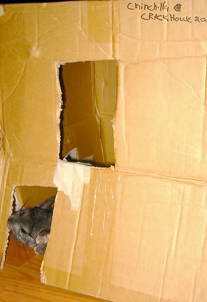 Fotografía por VikaValter para DesignCrowd (Community Contests) | Diseño #9088465