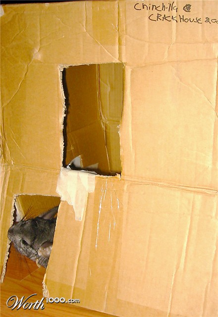 Photography by VikaValter