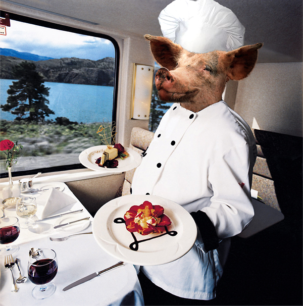 Photoshop Design by msNicole for DesignCrowd (Community Contests) | Design #9068758