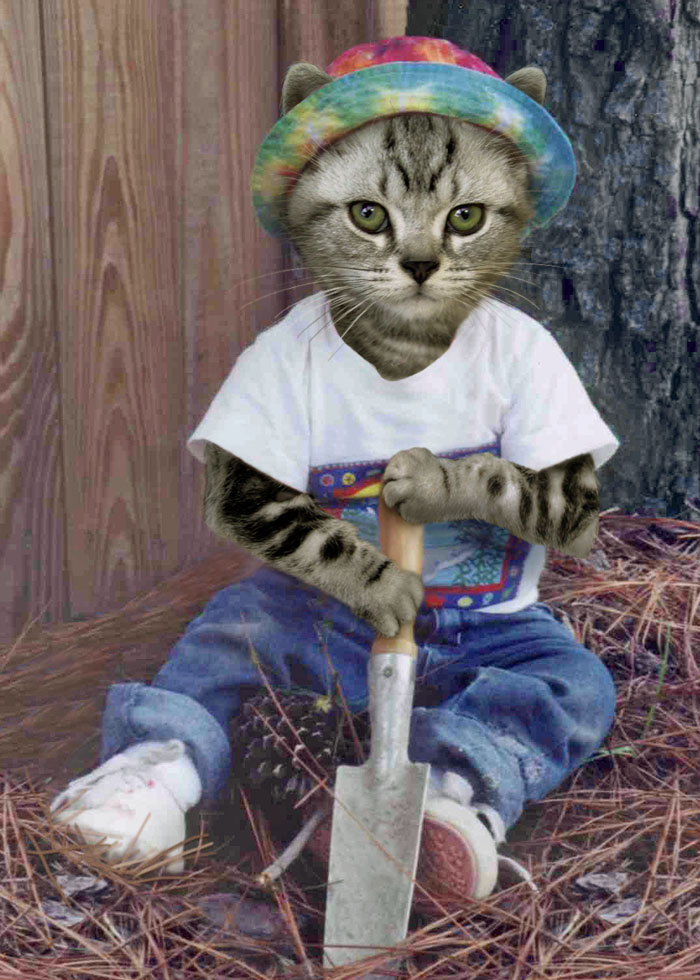 Photoshop-Design von Penbender für DesignCrowd (Community Contests) | Design #9068767