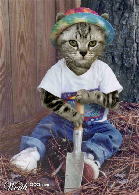 Photoshop Design by Penbender