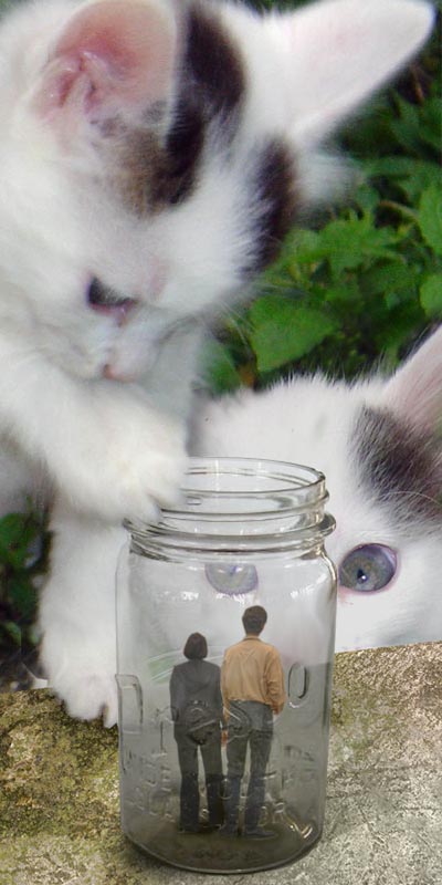 Photoshop Design by AtomicTitan for DesignCrowd (Community Contests) | Design #9068794