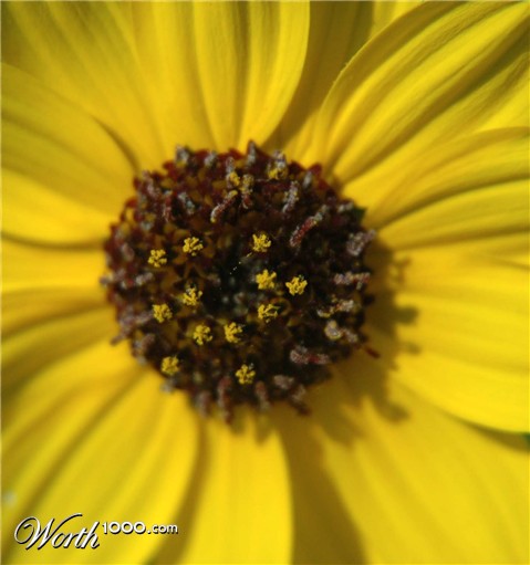 Photography by Kute2000