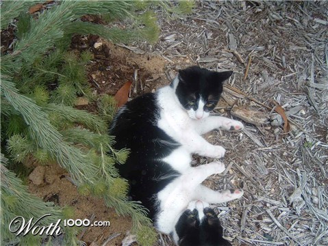 Photoshop Design by Sanguis